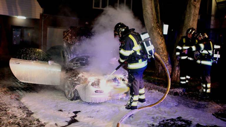 (foto: Bart Meesters/Meesters Multi Media)