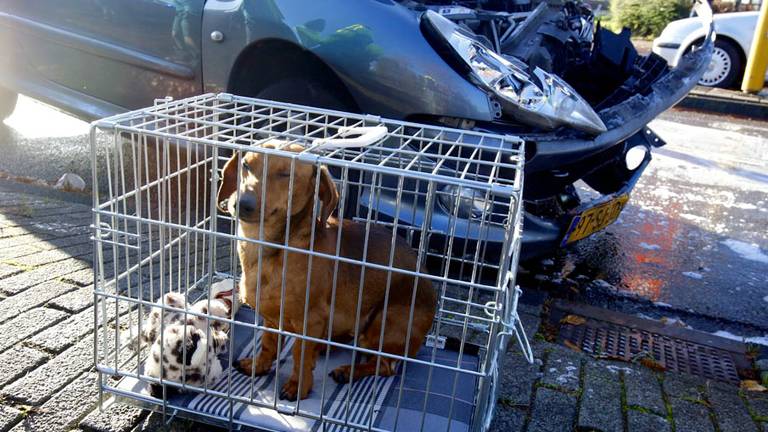 Foto: Hans van Hamersveld