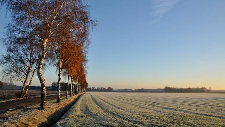 Omroep Brabant