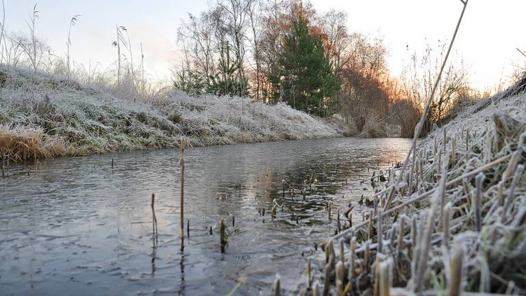 Omroep Brabant