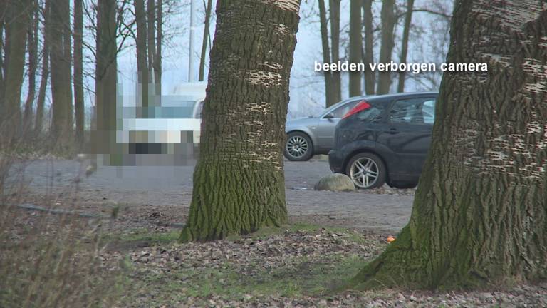 Hardere aanpak prostitutie Vaerland