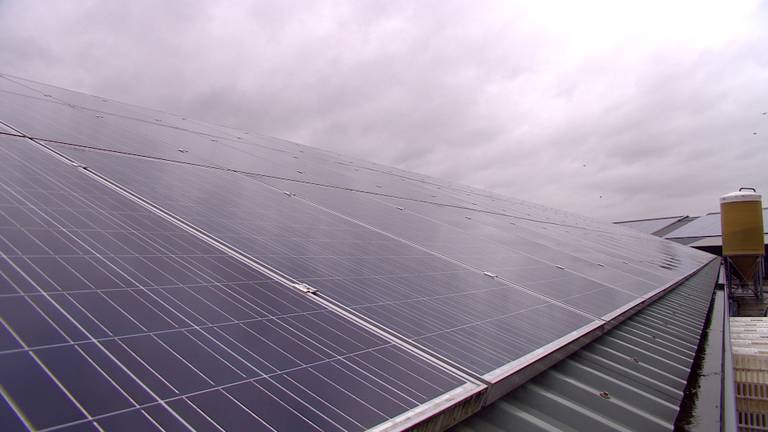 Friesland/Campina geeft subsidie voor zonnepanelen
