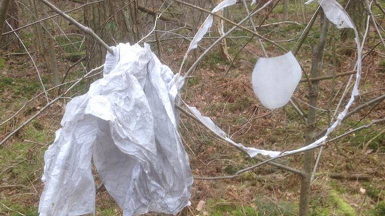 Boswachter Erik de Jonge vond deze wensballon (Foto: Erik de Jonge)