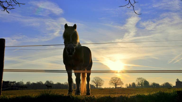 Omroep Brabant