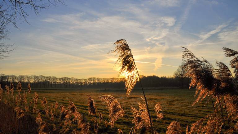 Omroep Brabant