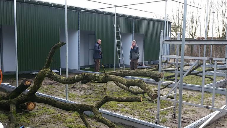 Vogelrevalidatiecentrum Zundert breidt uit en bouwt twintig extra hokken