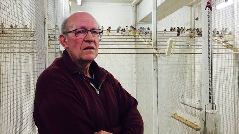 Vogelkweker Peter van Dijk: 'Dit is een nachtmerrie'