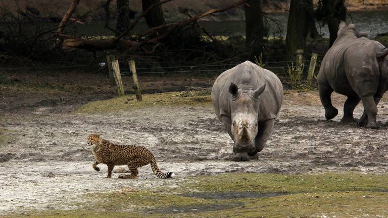 Omroep Brabant