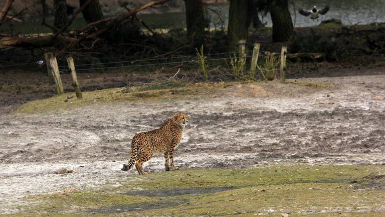 Omroep Brabant