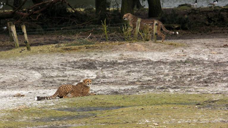 Omroep Brabant