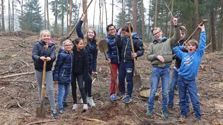 Gemeente Breda geeft notenboom aan jarig Mastbos