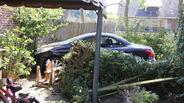 Dollemansrit in Heeswijk-Dinther (foto: AS Media)