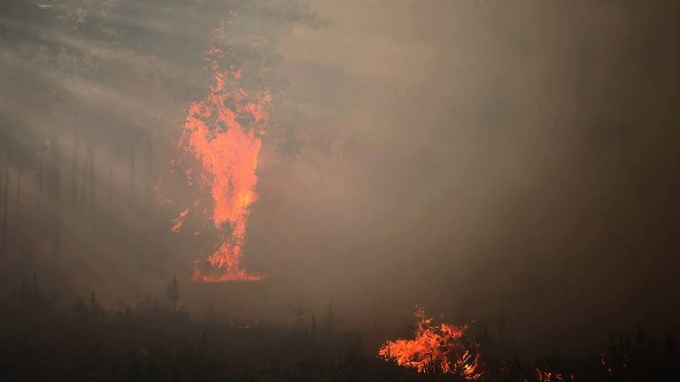 De bosbrand bij Chaam (foto Jeroen Stuve / Stuve Fotografie)