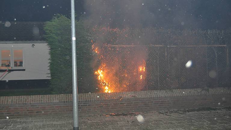 Foto: FPMB/Marvin Doreleijers