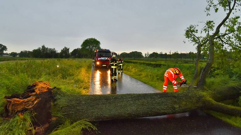 Omroep Brabant