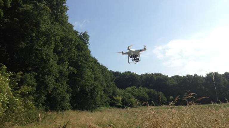 Drone speurt naar reekalfjes in Hoogerheide