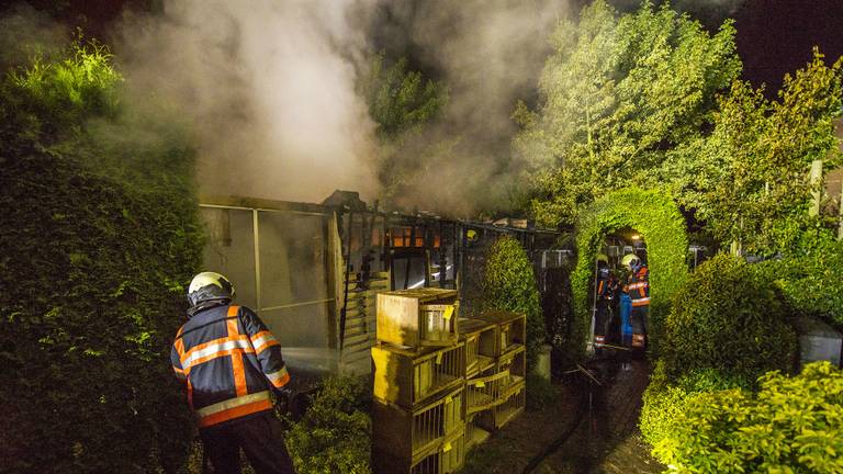 Foto: Sem van Rijssel / SQ Vision