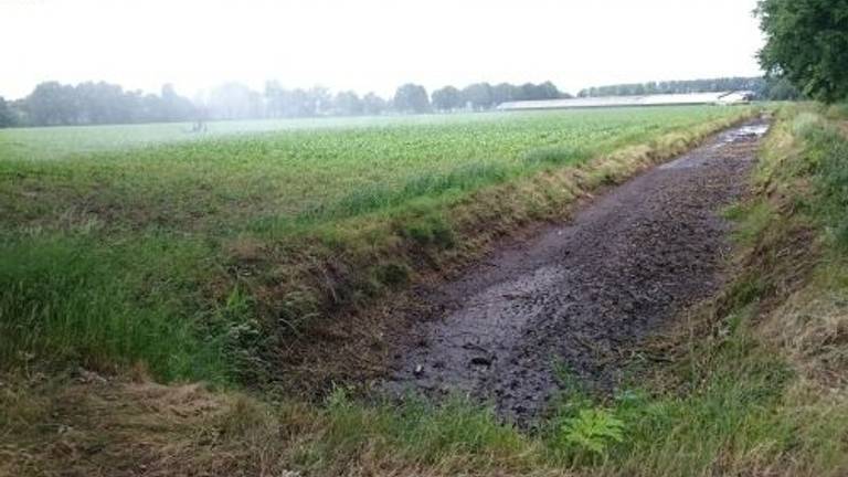 Waterschap bezorgd over droogte