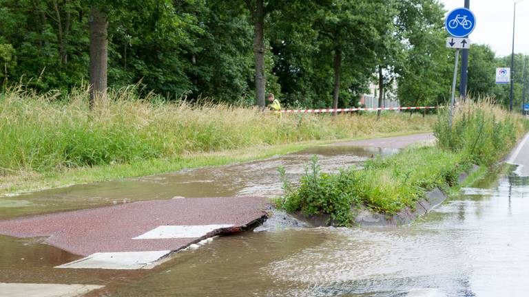 Foto: Marcel van Dorst/SQ Vision