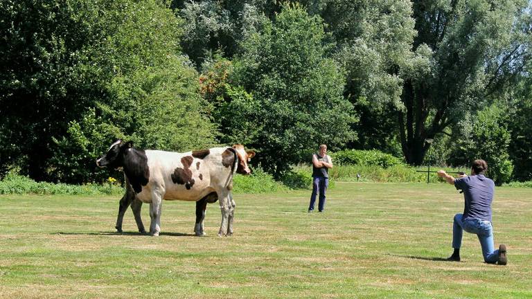 Omroep Brabant