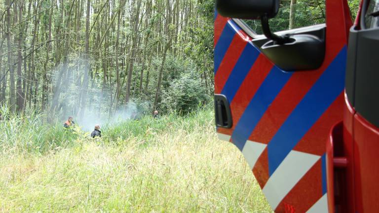 Rokende fosfor. (Foto: Rick de Haan/Stuve Fotografie)