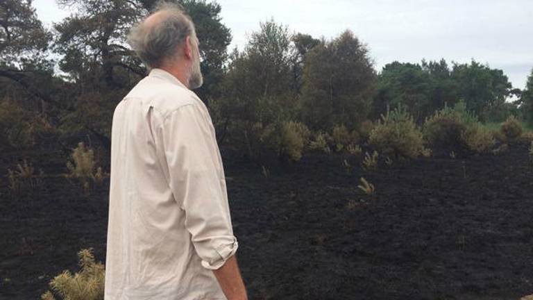 Boswachter Mari de Bijl kijkt naar het vernietigde natuurgebied. (Foto: Marjanka Oerlemans)