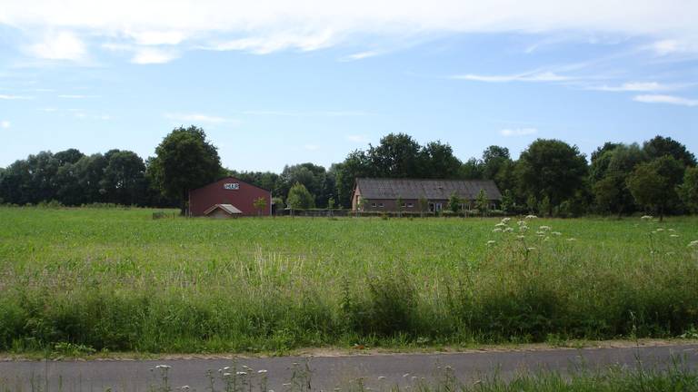 Provincie wil investeringen in veesector stimuleren (foto: archief).