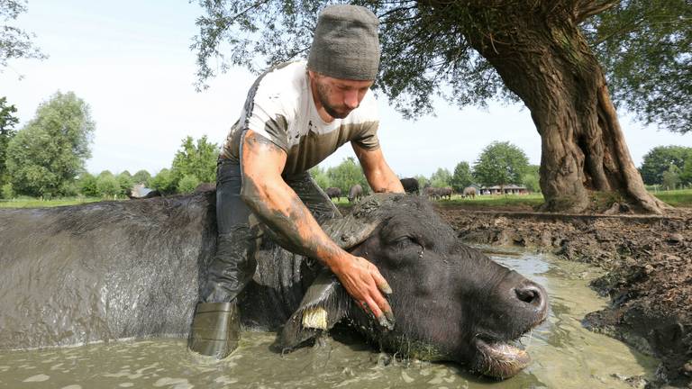 Omroep Brabant