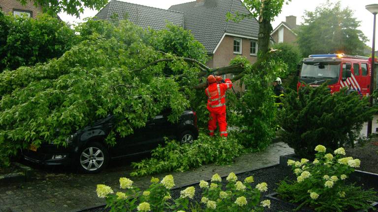 Tak op auto in Merckensblok in Hoeven. (Archieffoto: Alexander Vingerhoeds/Obscura-Foto)