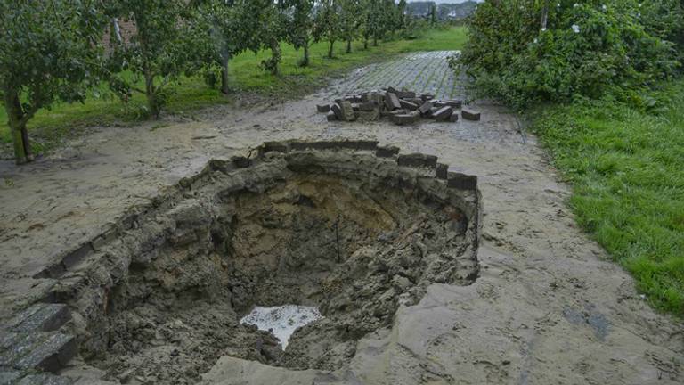 Foto: Marco Verhage/SQ Vision.