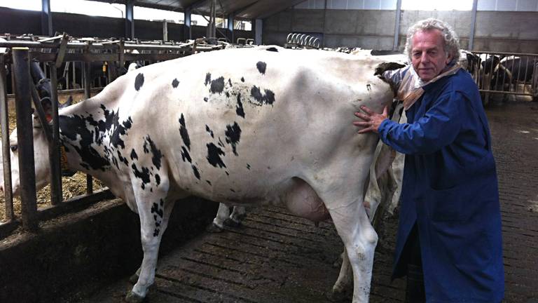 "Je moet diep graven om te weten of een koe tochtig is of zwanger" (foto: Pierre Spierings/Facebook)