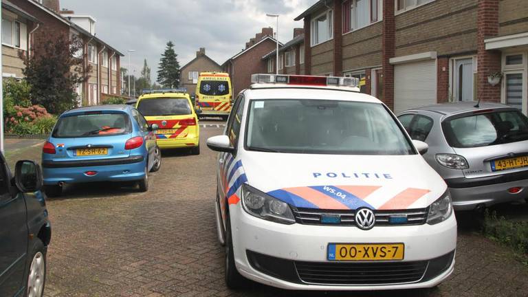 Foto: Alexander Vingerhoeds (Obscura Foto)