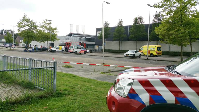 Zwembad Reeshof (foto: Toby de Kort).