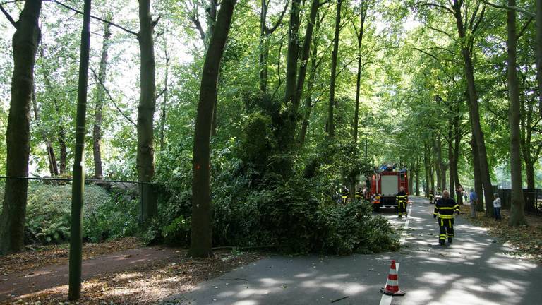 Omroep Brabant
