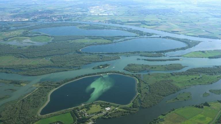 Spaarbekkens in de Brabantse Biesbosch. (Archieffoto)
