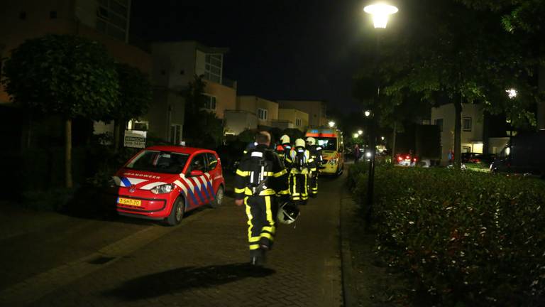 Foto: Erik Haverhals/FPMB