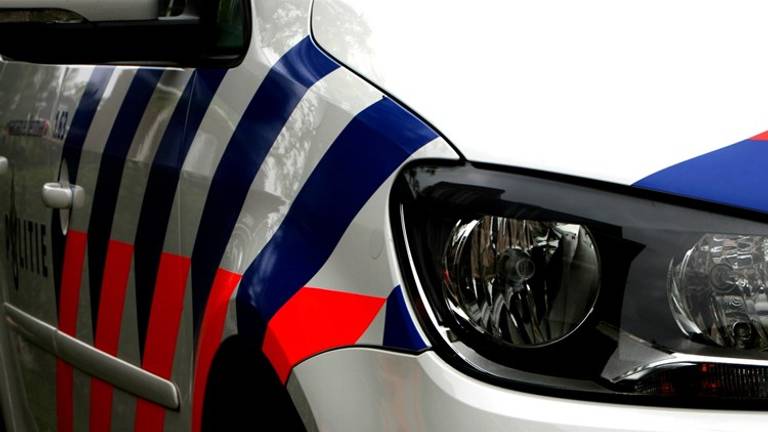 Politie heeft hond uit auto bevrijd. (archieffoto)