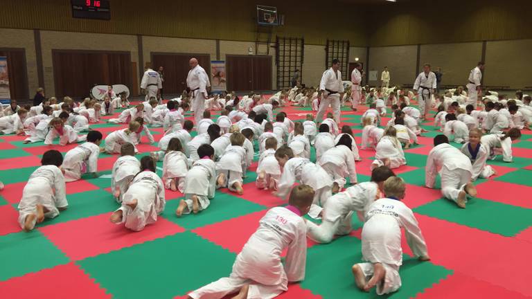 Schoolkinderen gaan uit hun dak bij judoclinics in Veldhoven (Foto: René van Hoof)