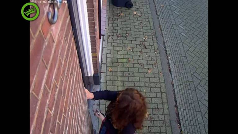 Screenshot: Dumpert.nl