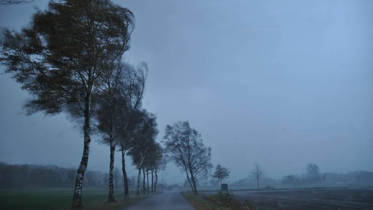 Herfststorm in Budel-Schoot (foto: Ben Saanen)