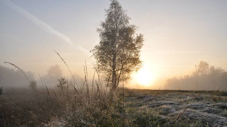 Omroep Brabant