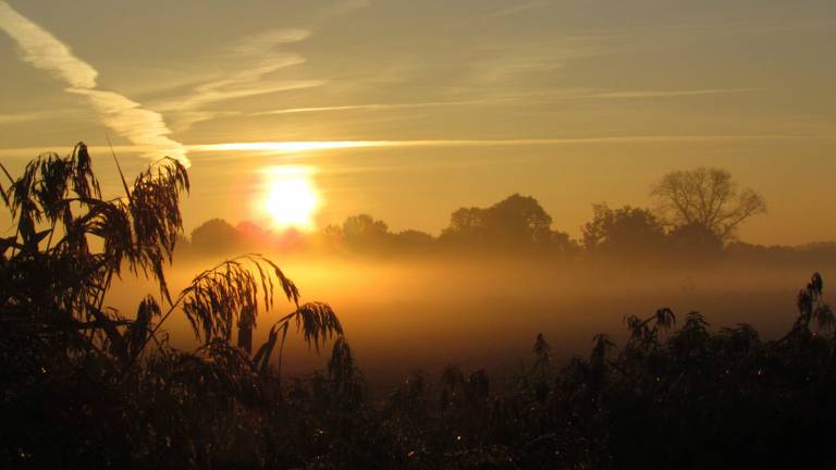 Foto: Margreet van Vianen, Tilburg