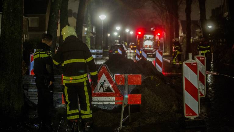 Foto: Alexander Vingerhoeds/Obscura Foto