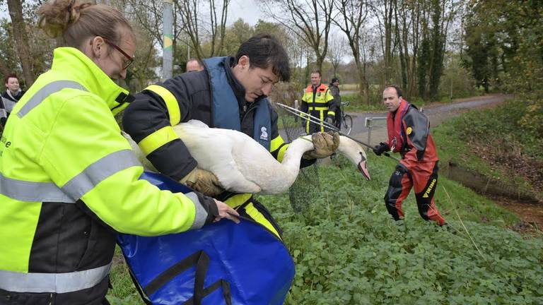 Omroep Brabant