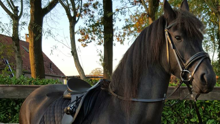 Omroep Brabant