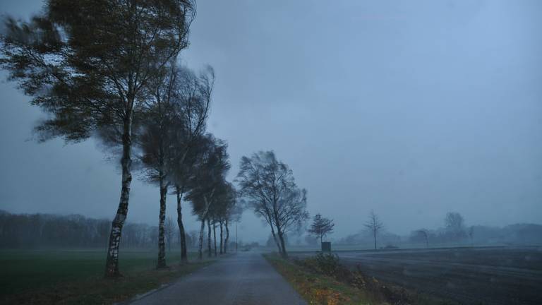 Er worden flinke windstoten verwacht (archieffoto: Ben Saanen).