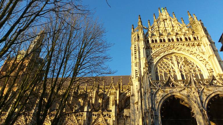 De Sint-Jan in Den Bosch krijgt een nieuw dak (Foto: Henk Voermans)