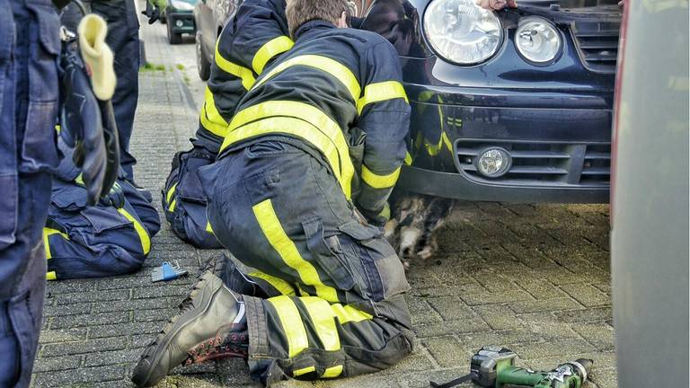 De brandweerlieden moesten een wiel en verschillende kappen verwijderen om de kat los te krijgen. (Foto: Jeroen Stuve/Persburo Stuve Fotografie).