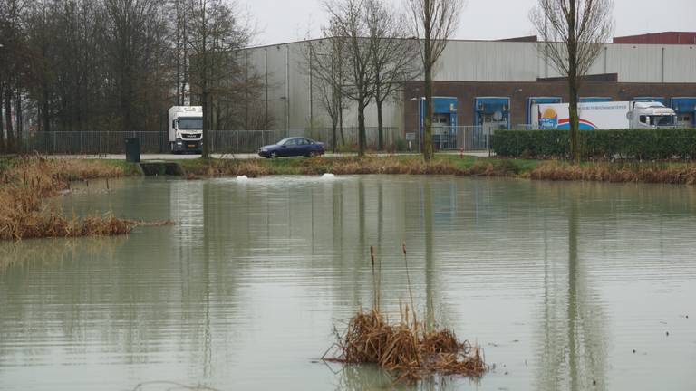 Foto: Martijn van Bijnen/FPMB