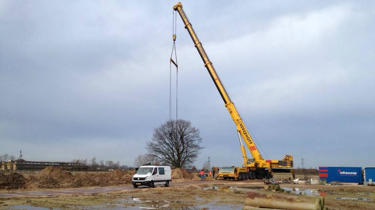 De laatste voorbereidingen om de boom te verplanten (foto: Sid van der Linden)